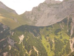 2013-09-08_6Falkenh-Steinfalk (033).JPG